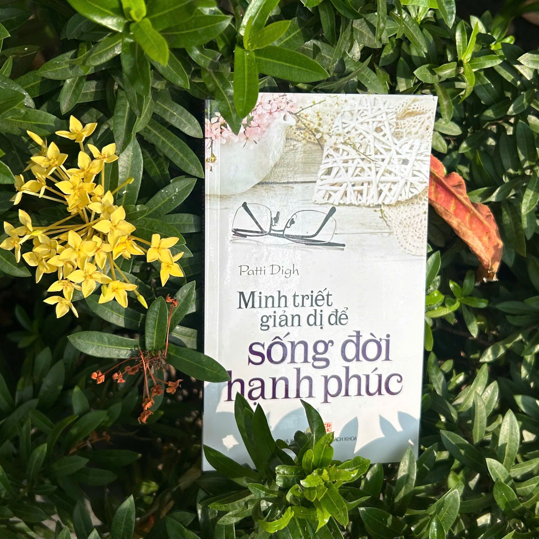 Một lì xì cho cả cuộc đời